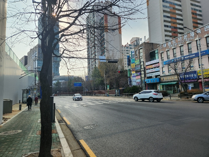 사진 10
