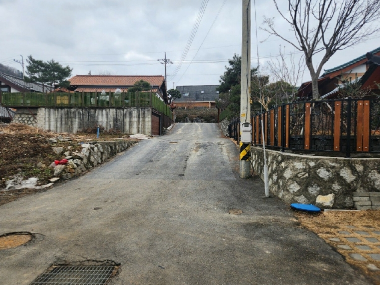 사진 5