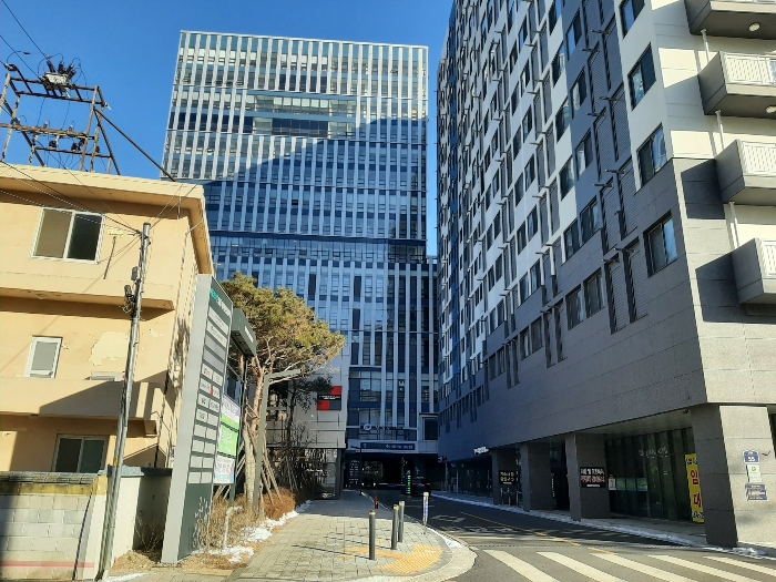 사진 10