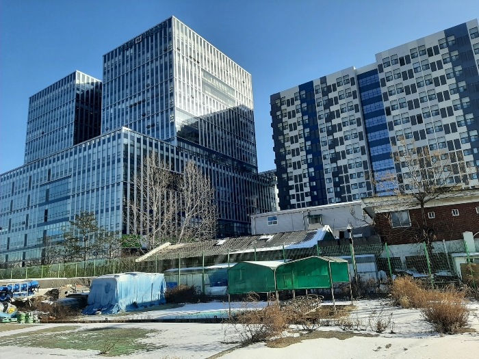 사진 7