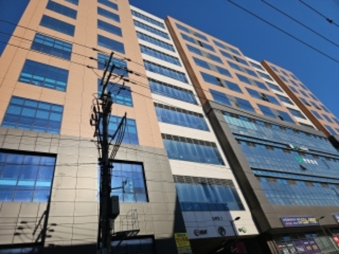 사진 5