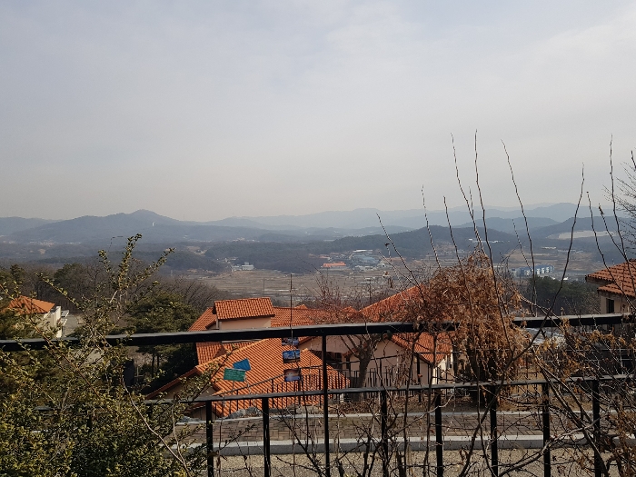 사진 9