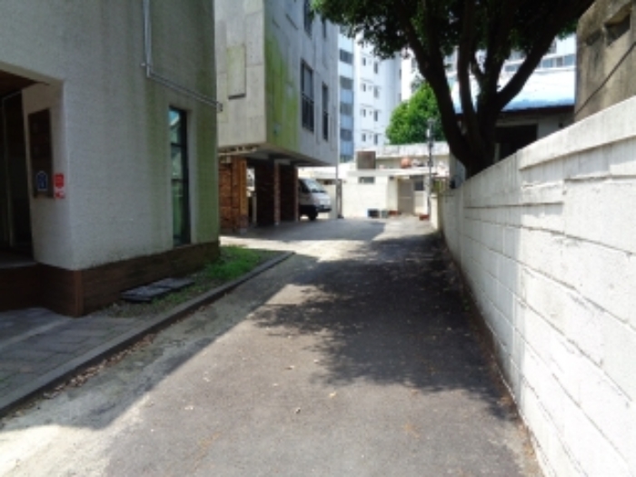 사진 11