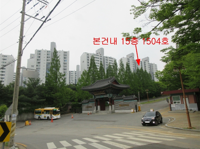 사진 7