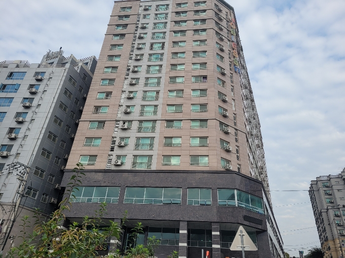 사진 5
