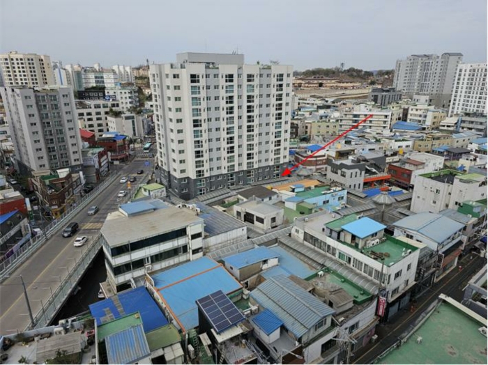 사진 8
