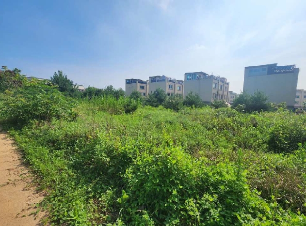 사진 2