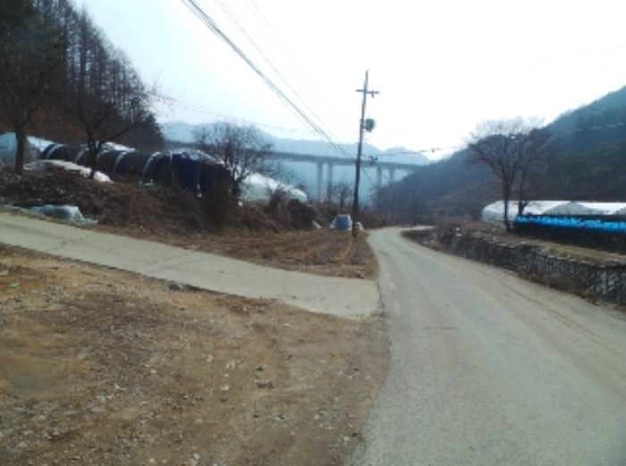 사진 6