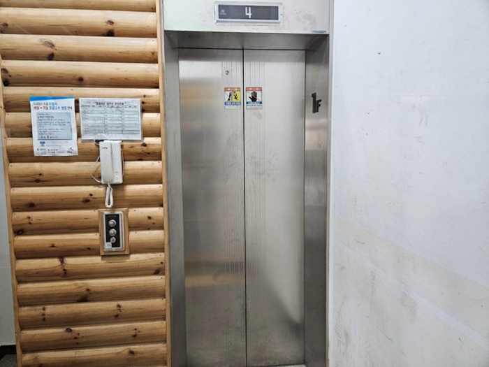 사진 12