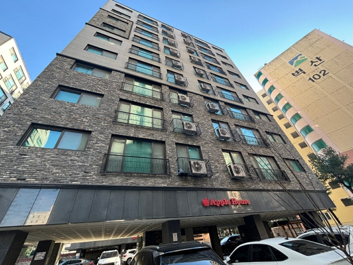 사진 10