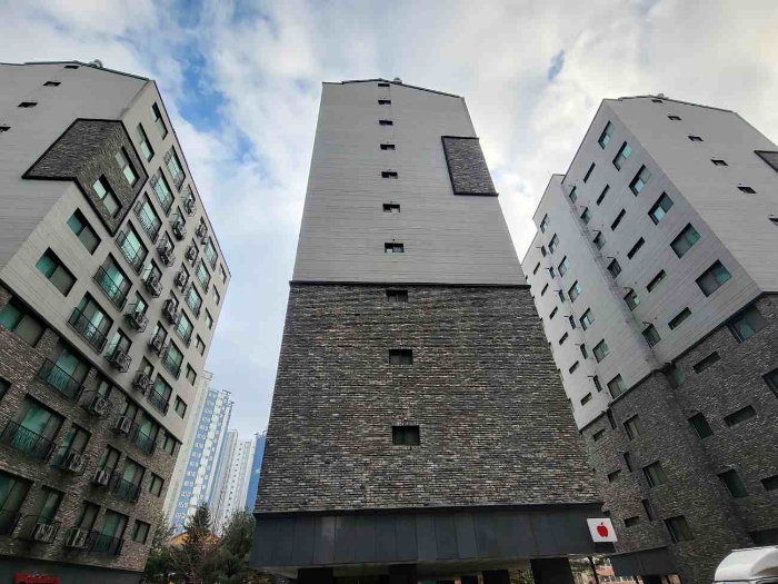 사진 2
