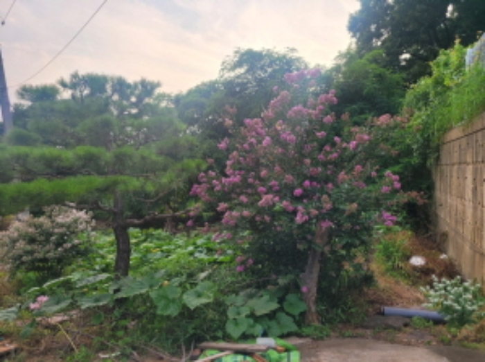 2023타경70106