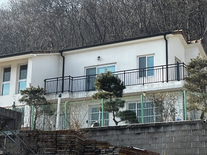 사진 11