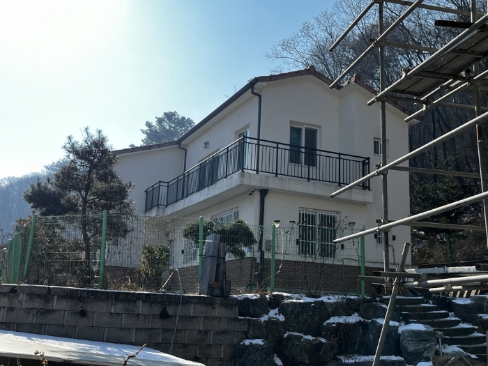 사진 12