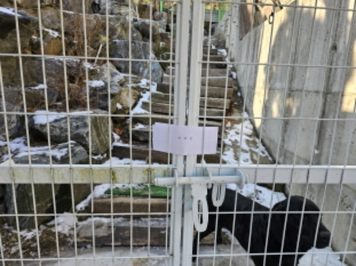 사진 8