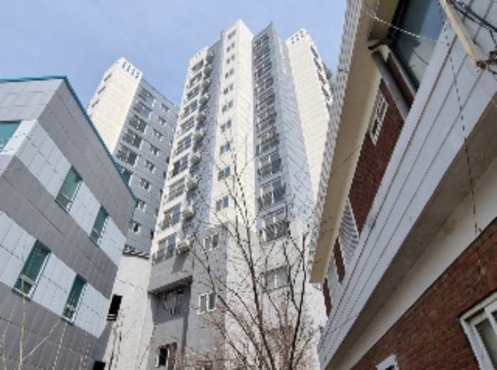 사진 10