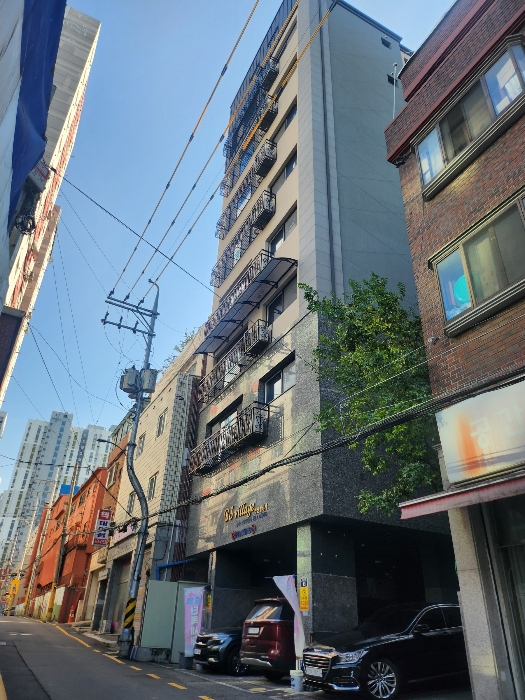 사진 11