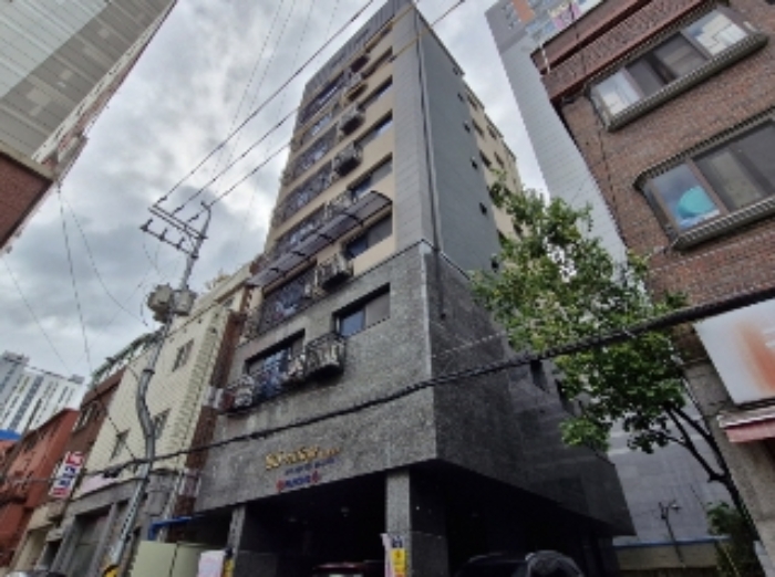 사진 7