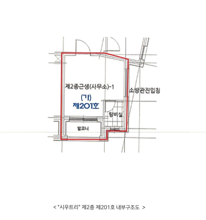 사진 8