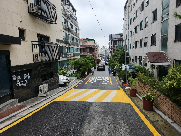사진 15