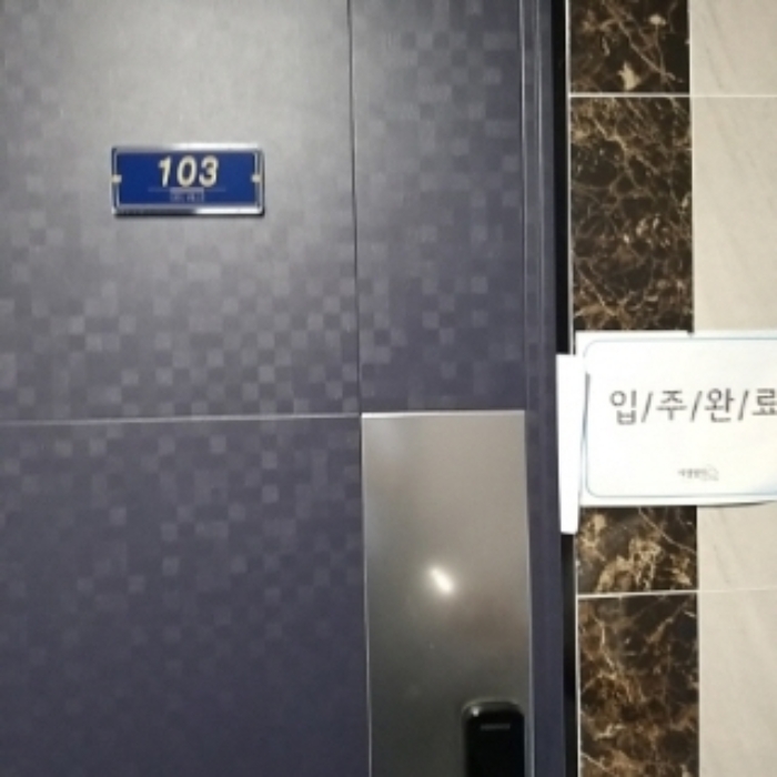사진 10