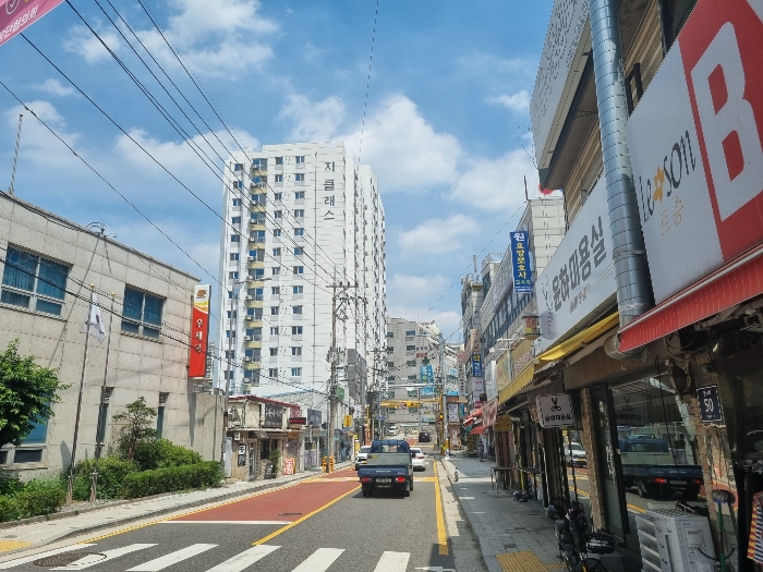 사진 11