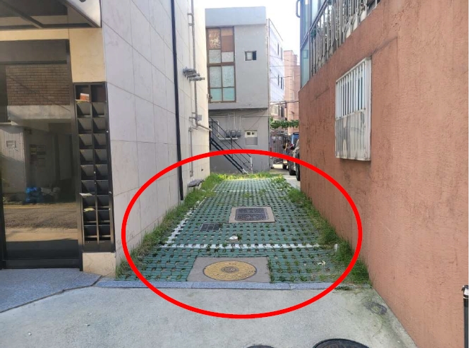 사진 6