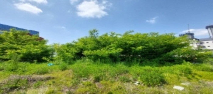 사진 10