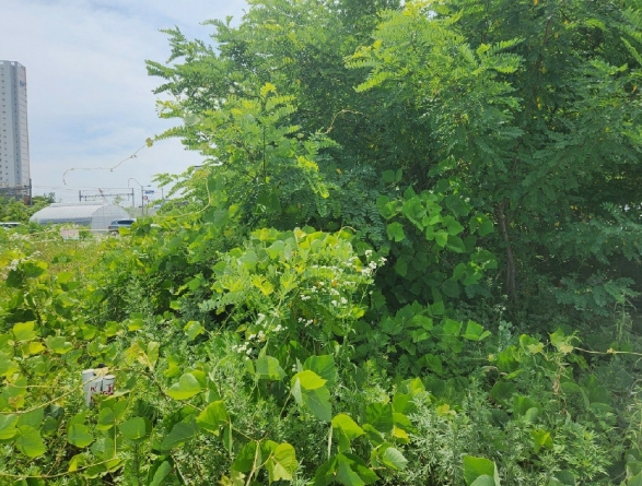 사진 3