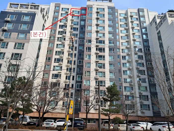 사진 8