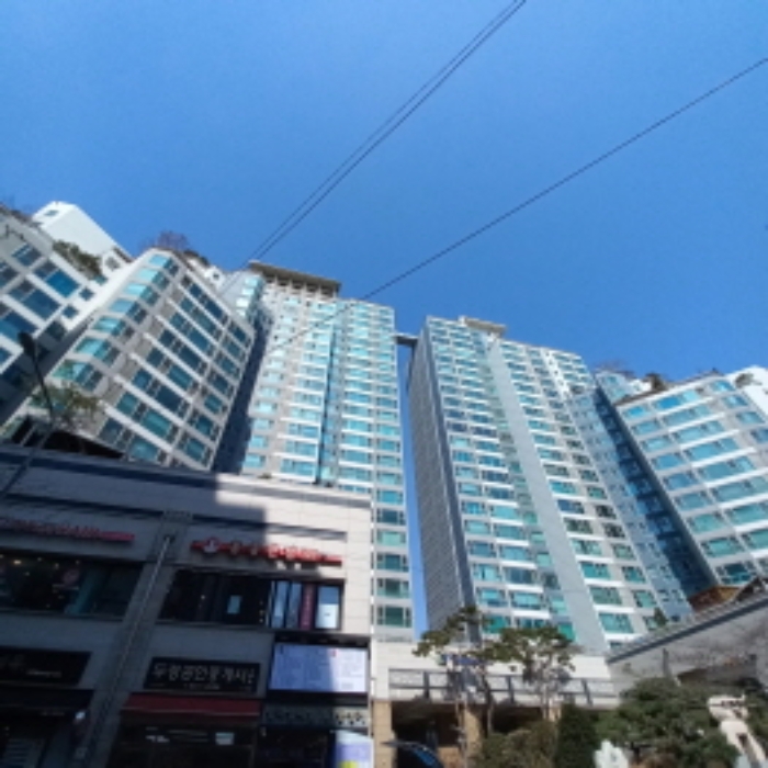 사진 2