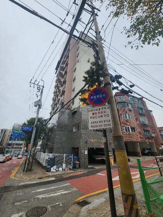 사진 6