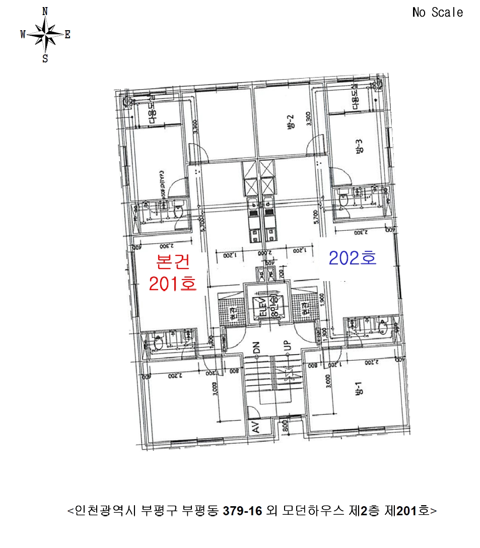 사진 10