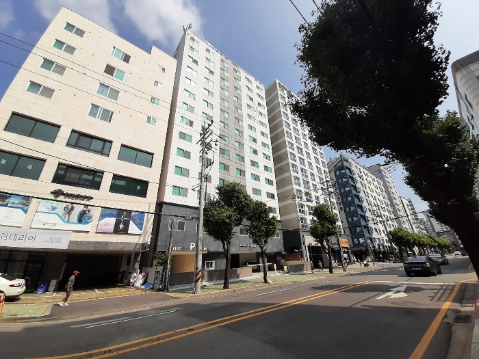 사진 7
