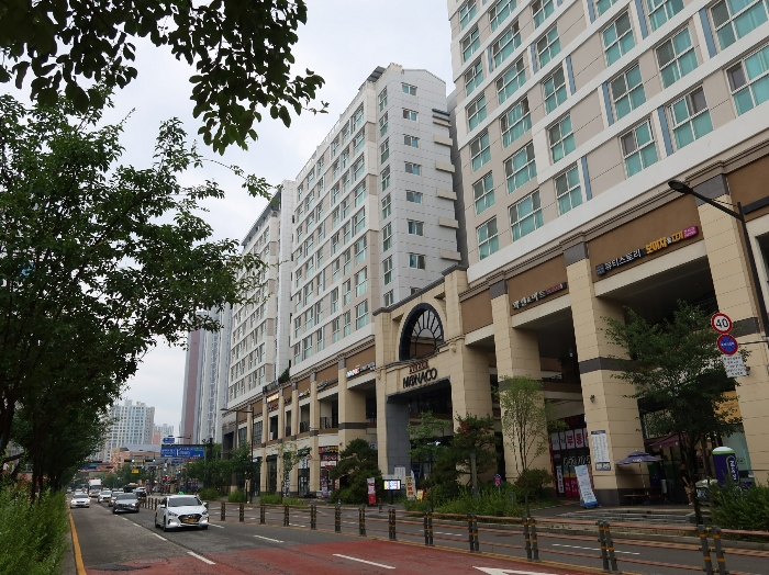 사진 9