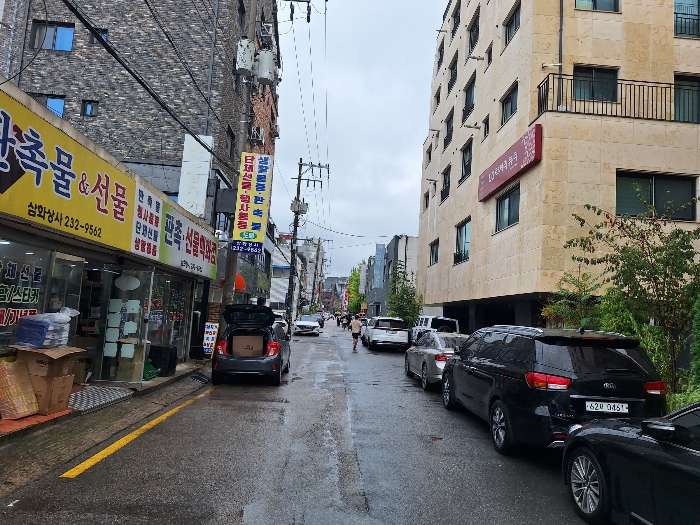 사진 12