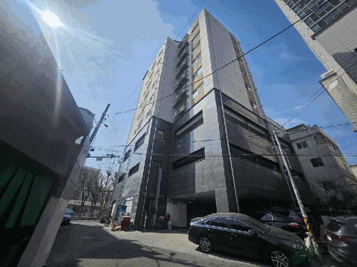 사진 12