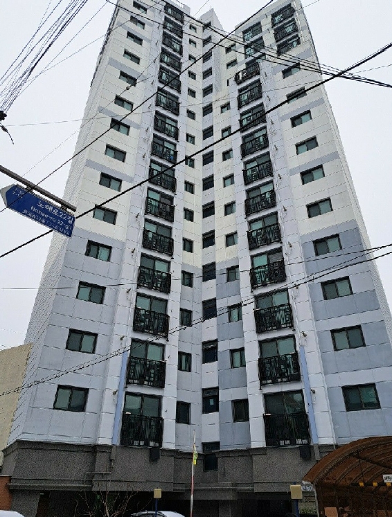 사진 2