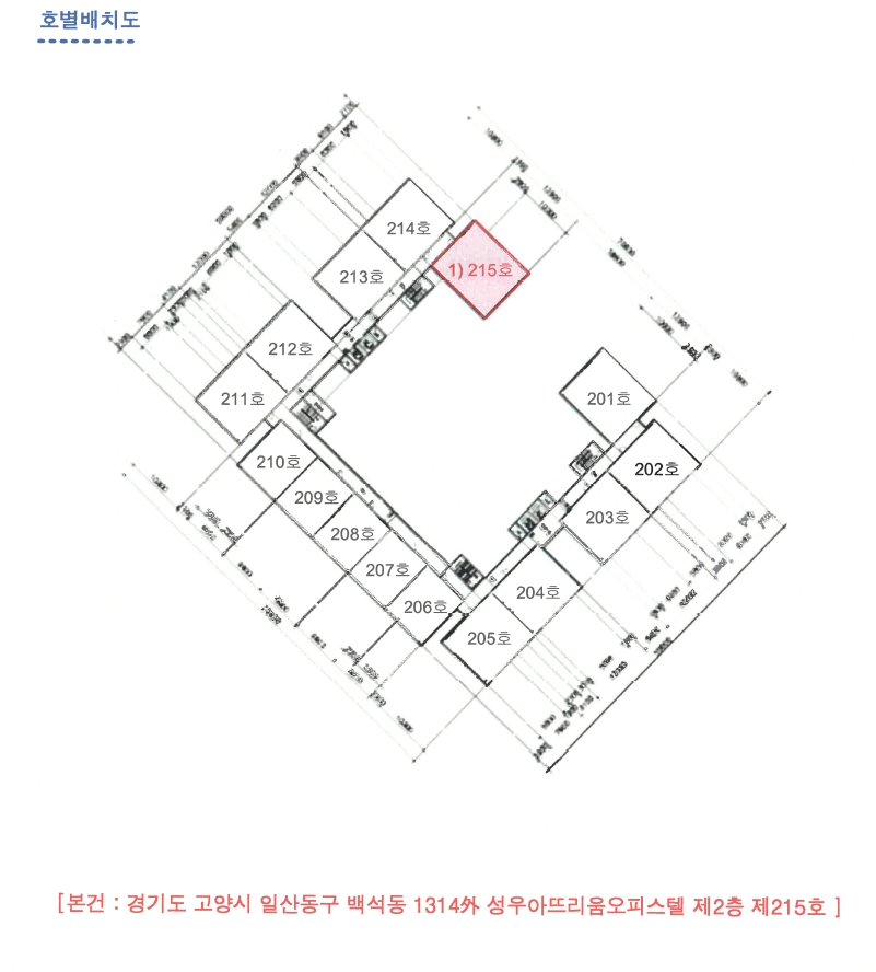 사진 10