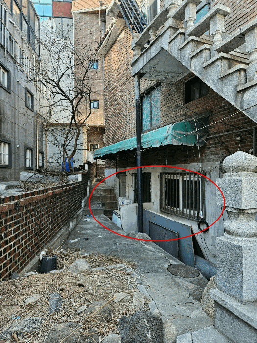 사진 14