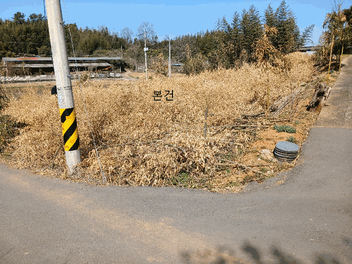 사진 5