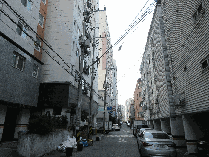 사진 5