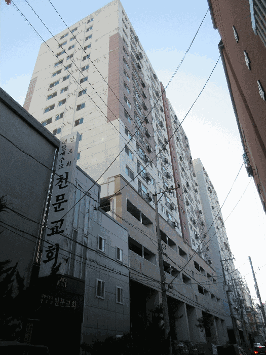 사진 7