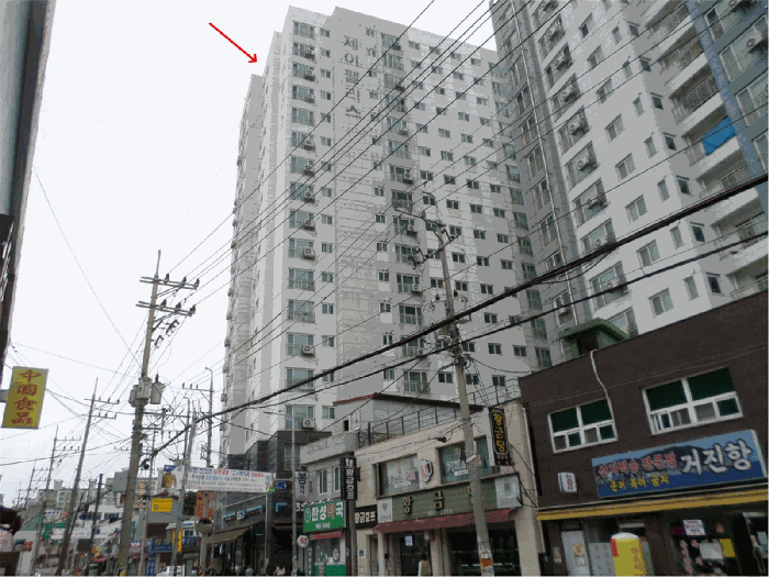 사진 5