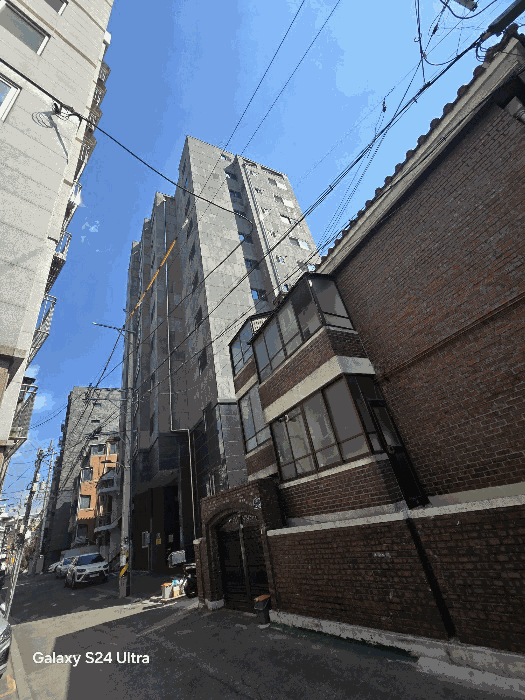 사진 7