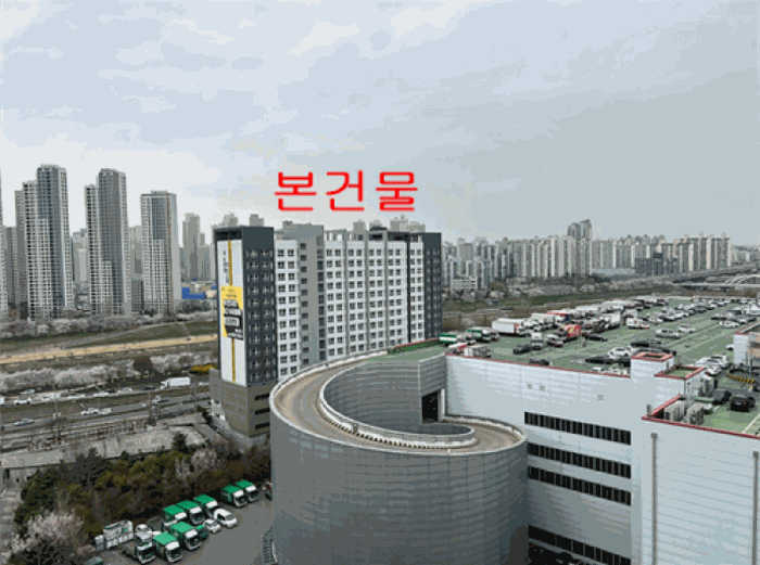 사진 12