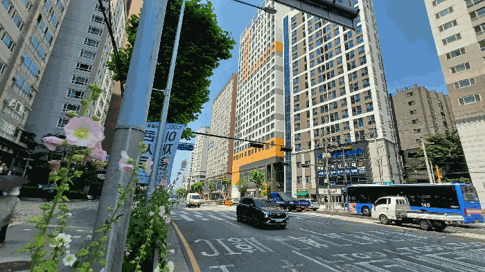 사진 5