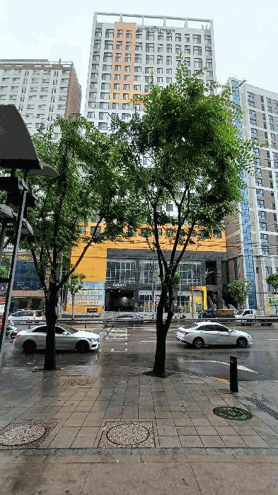 사진 7