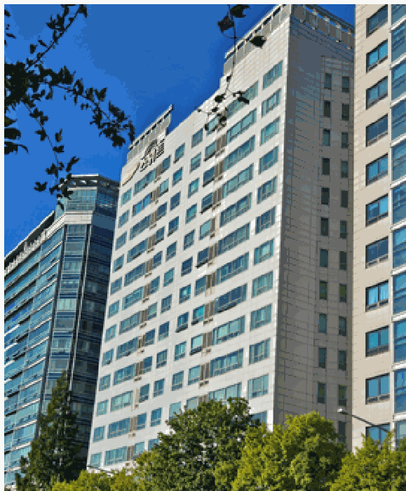 사진 8