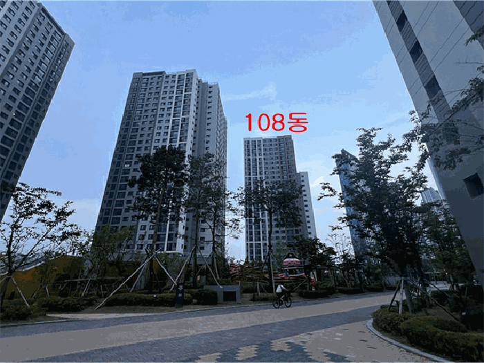 사진 8
